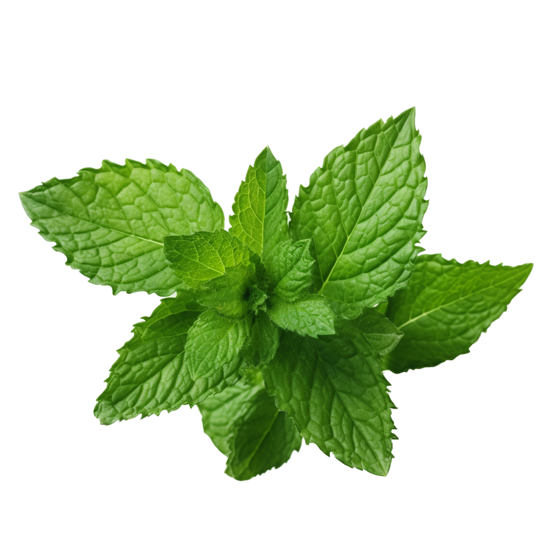 Peppermint